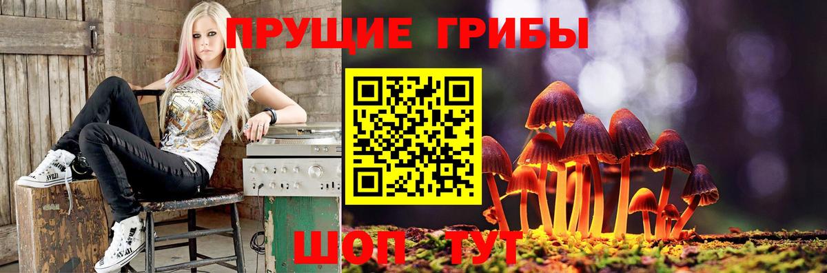 Галлюциногенные грибы ЛСД  где можно купить   Псилоцибиновые грибы MAGIC MUSHROOMS  Краснодар  Вход с VPN 